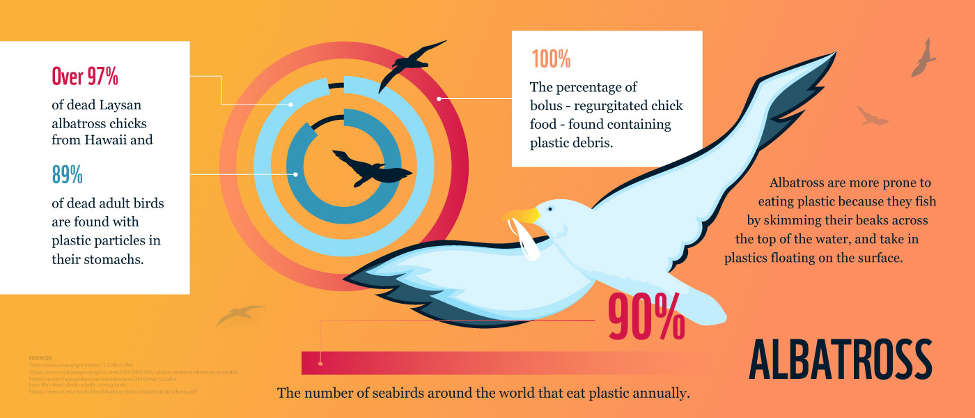 Marine animals are swallowing and becoming entangled in plastic at alarming  rates, report finds - ABC News