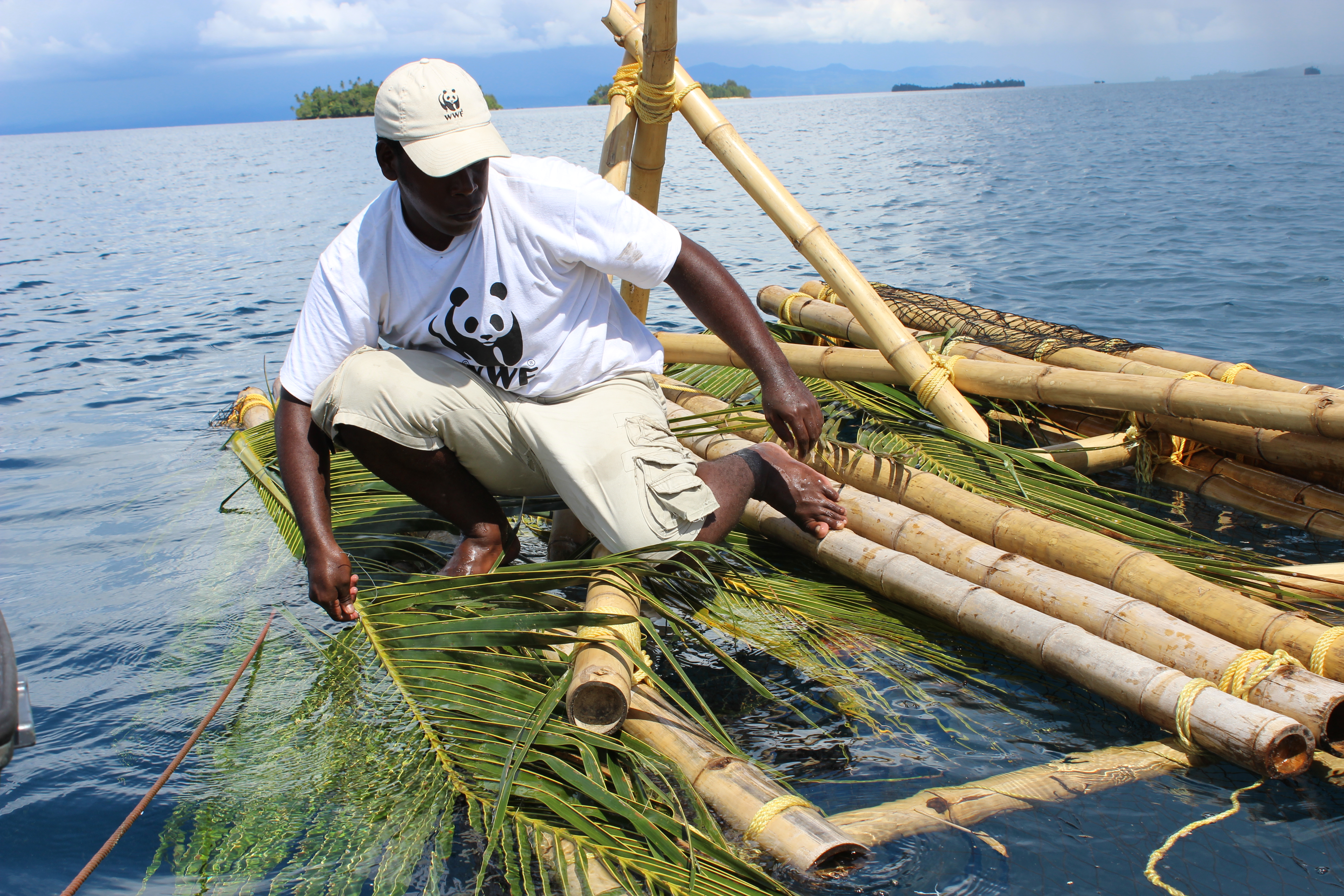 Small-scale fishers in the Coral Triangle get big break in global market