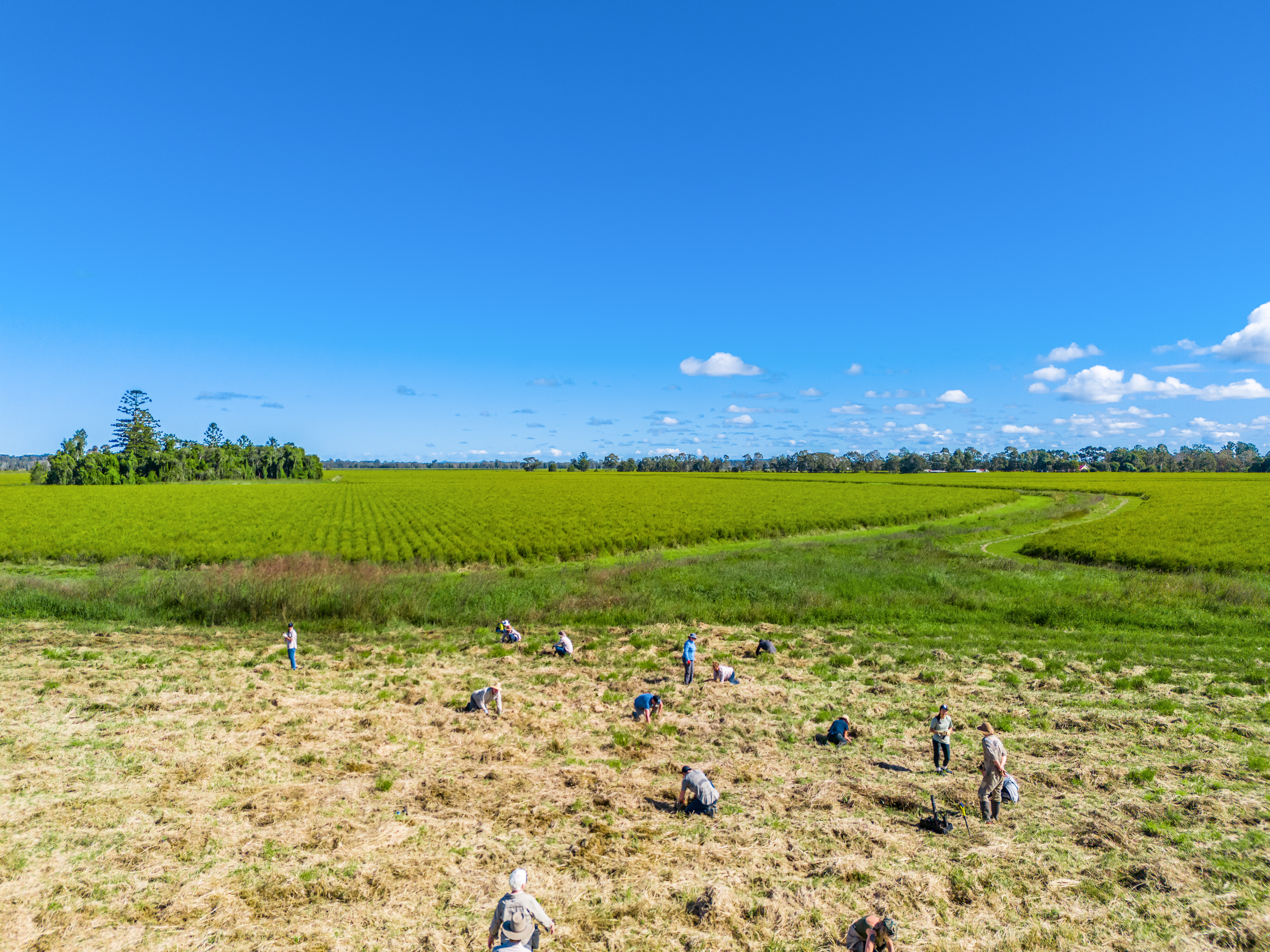 President and CEO’s message | WWF Australia