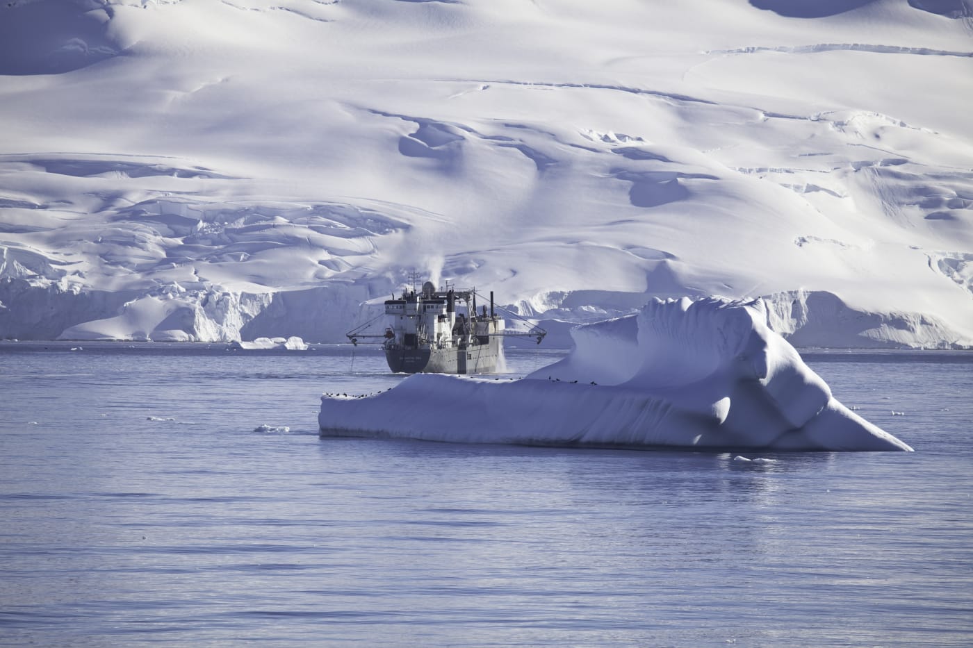 Vessel fishing krill in Antarctica