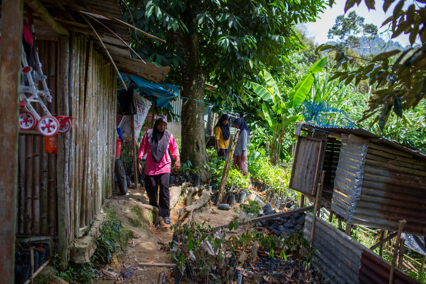 Ayu walks alongside the wooden wall of her home. She is wearing a pink short, black pants and sandals. There are other people and trees in the surrounding bush.