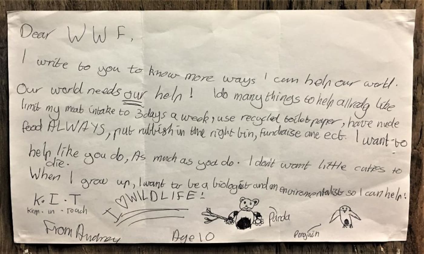 Love letter to nature written by Audrey