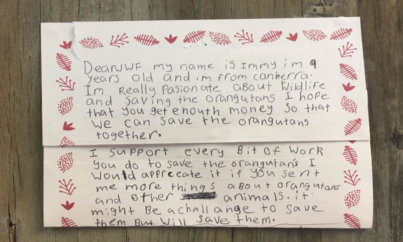 Love letter to nature written by Dash
