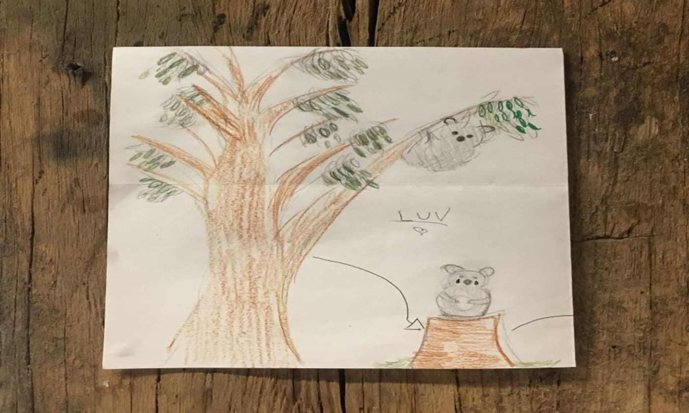 Love letter to nature written by Florence