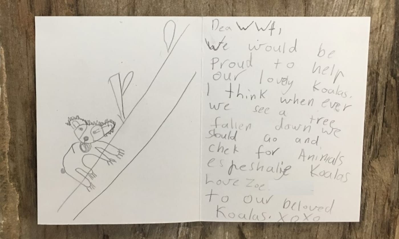 Love letter to nature written by Audrey