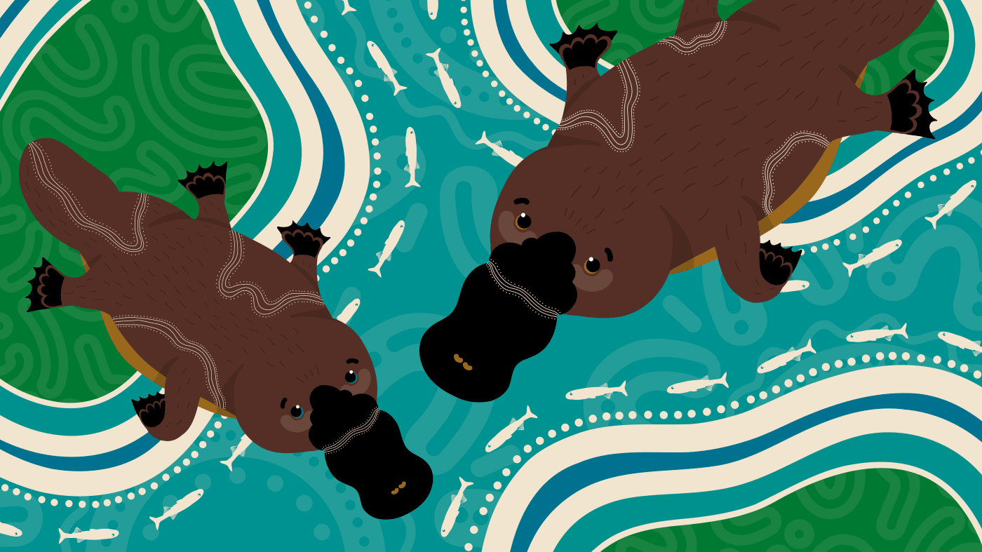 Kamilaroi artist Teagan Malcolm's depiction of the platypus