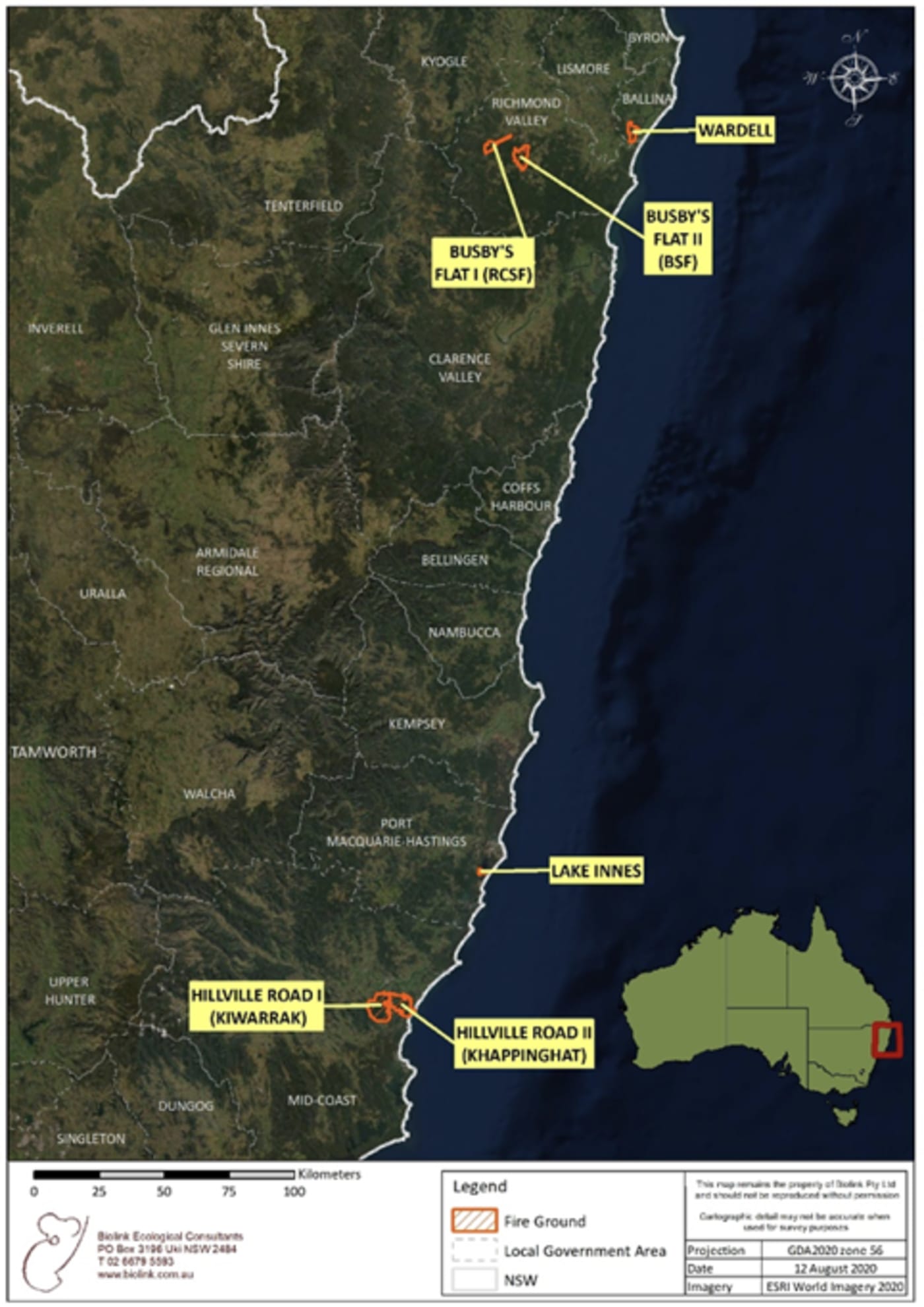 New WWF report: koalas suffer 71% decline across fire grounds