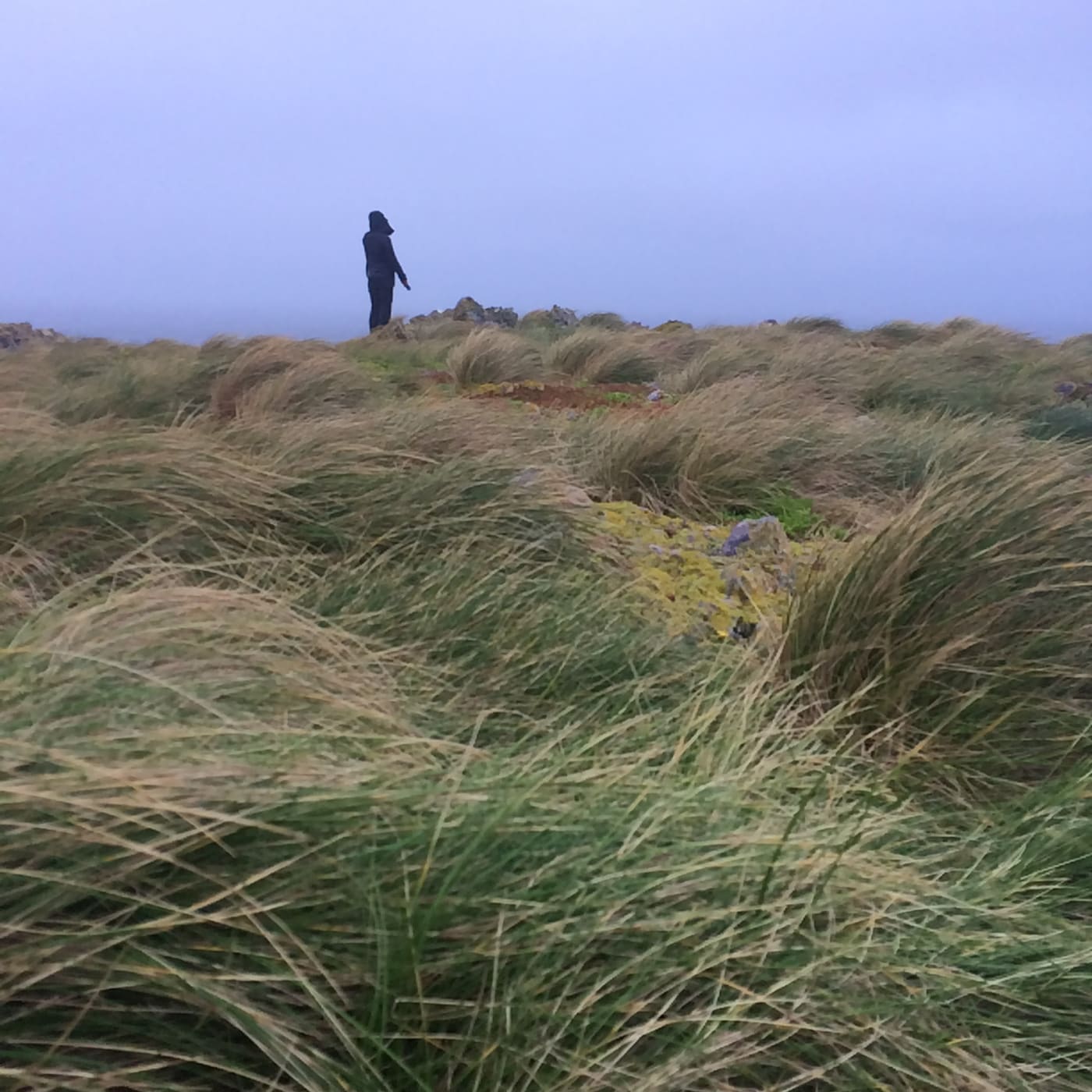 Dr Rachael Alderman stuck on Albatross Island, October 2017