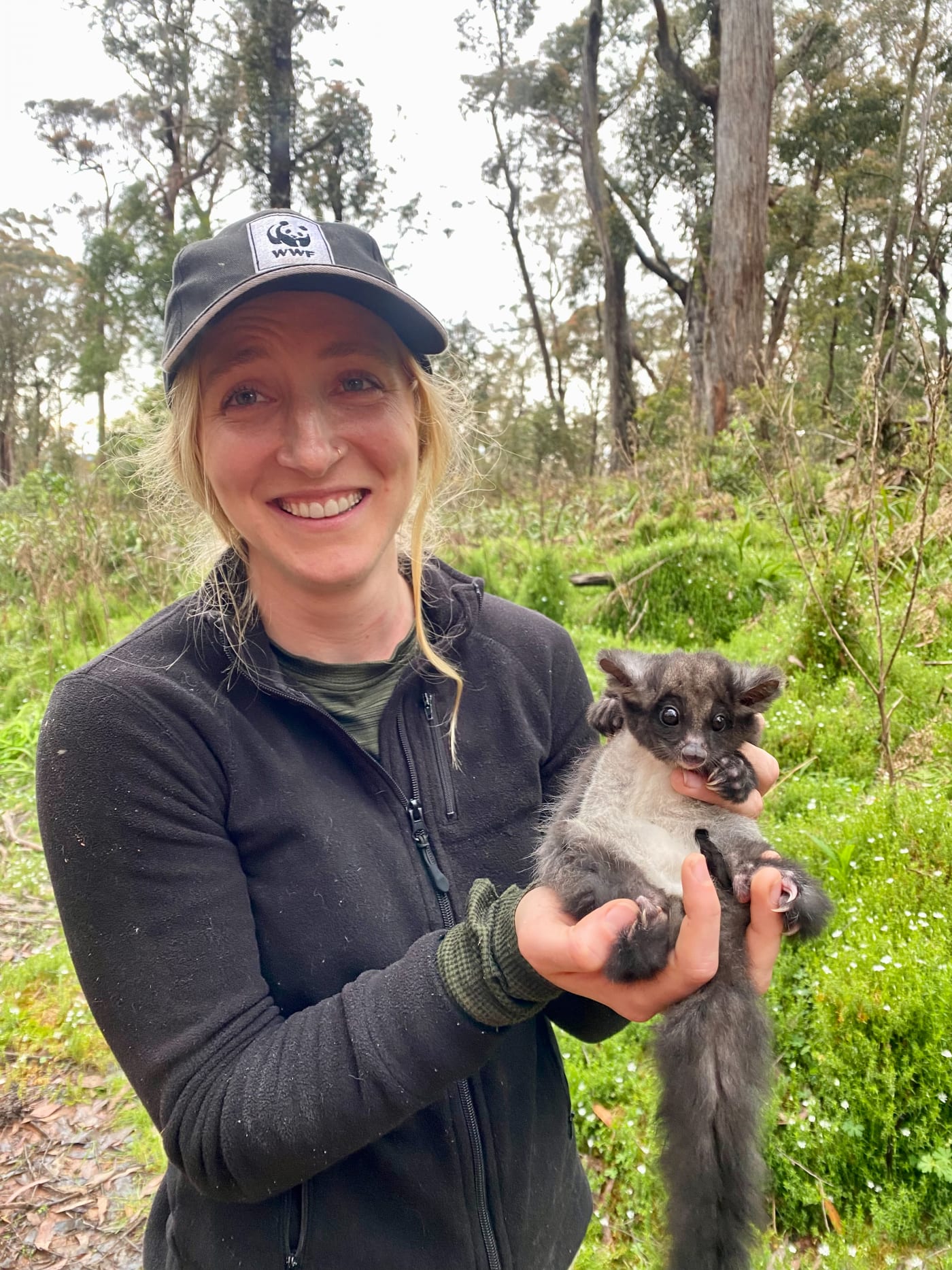 Dr Kita Ashman (Threatened Species & Climate Adaptation Ecologist, WWF-Australia) with a greater glider.\nWWF-Australia is partnering with The University of Sydney to deploy GPS collars on greater gliders to get one of the worlds first high-resolution looks into greater glider home ranges and habitat use in bushfire-impacted forests.