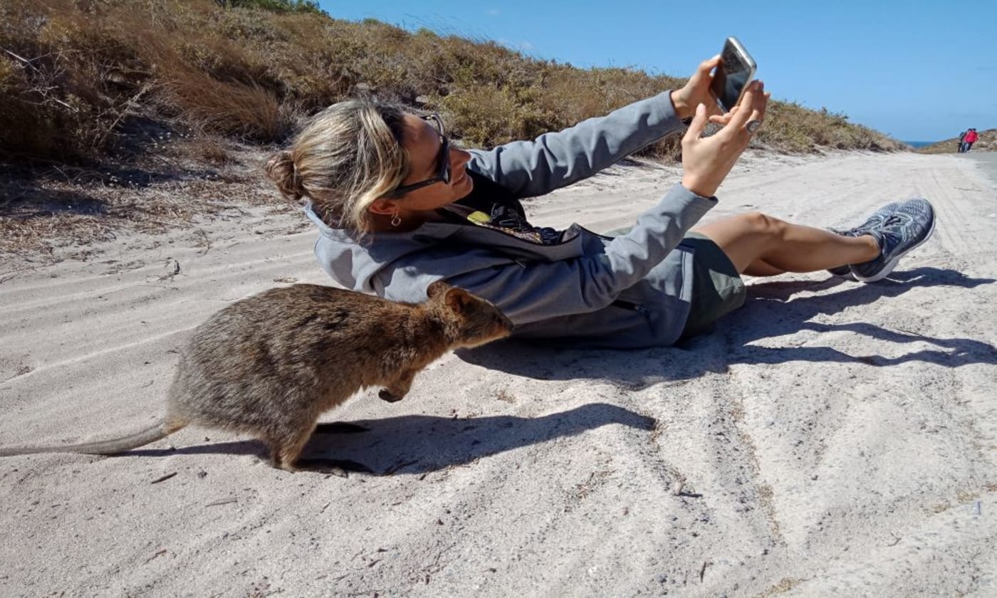 Inquisitive Quokka with Rochelle lying down