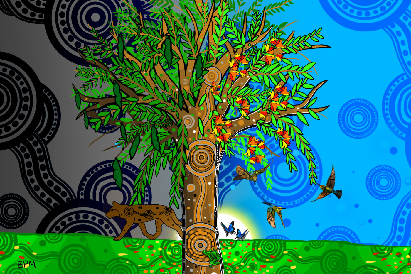 The Black Bean Tree by Jirrbal artist Beau Pennefather-Motlop