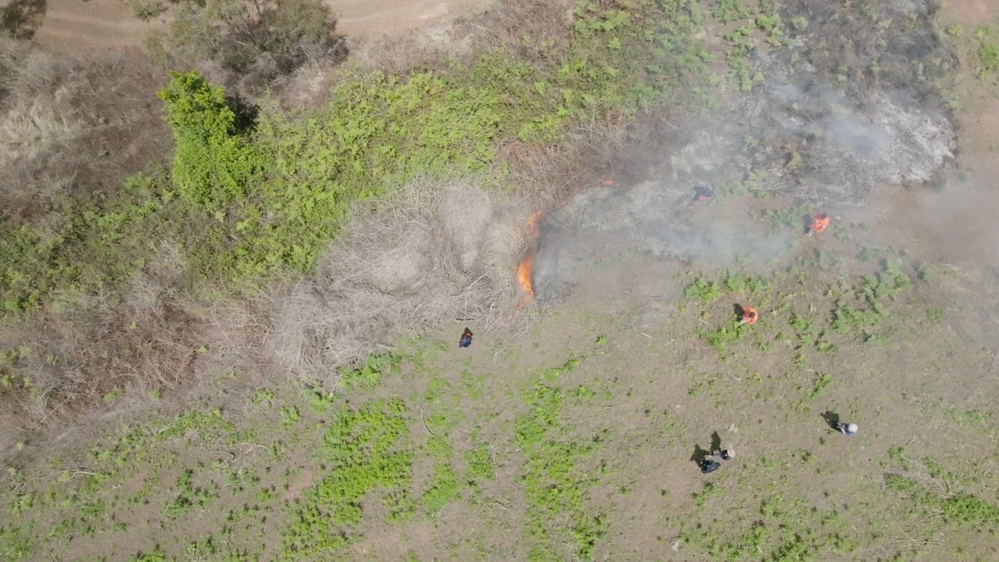 Aerial View of Cultural Burn Patterns