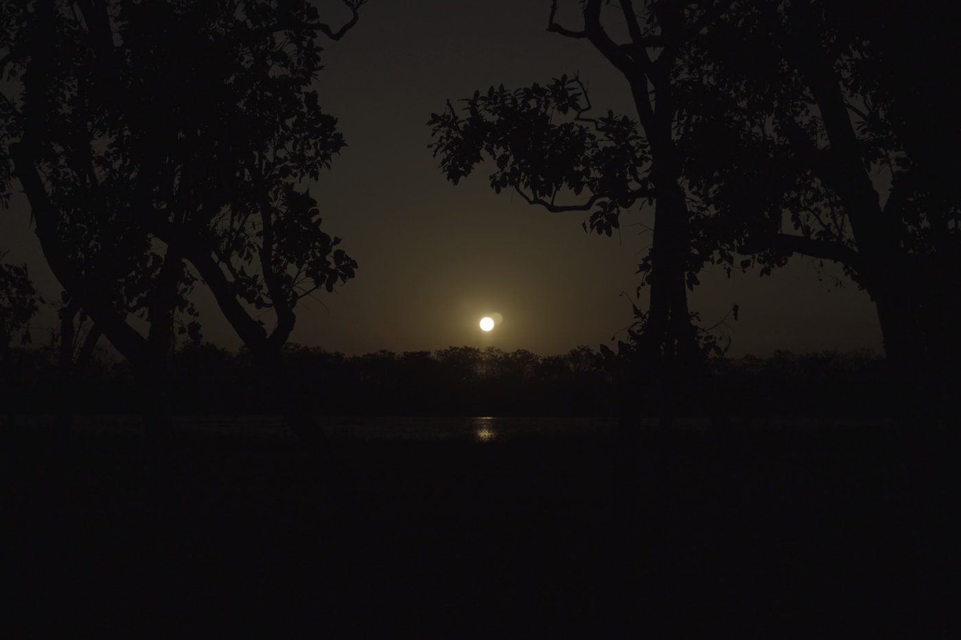 Twilight at the 2023 Strong Women for Healthy Country Forum