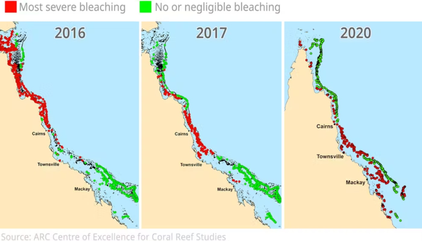 Previous bleaching events