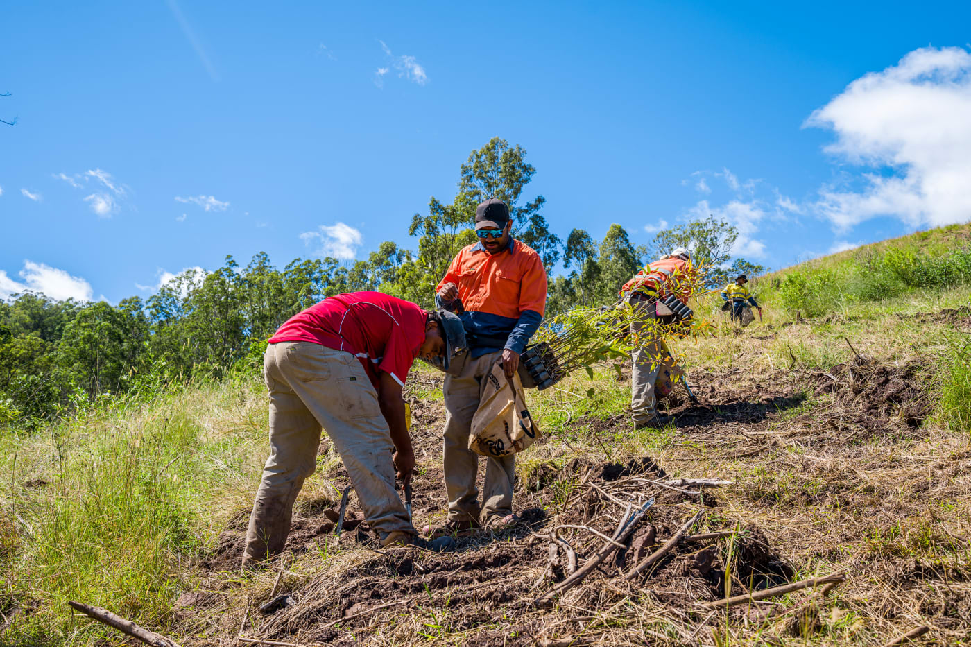 Githabul Rangers Planting Trees after a Cultural burn