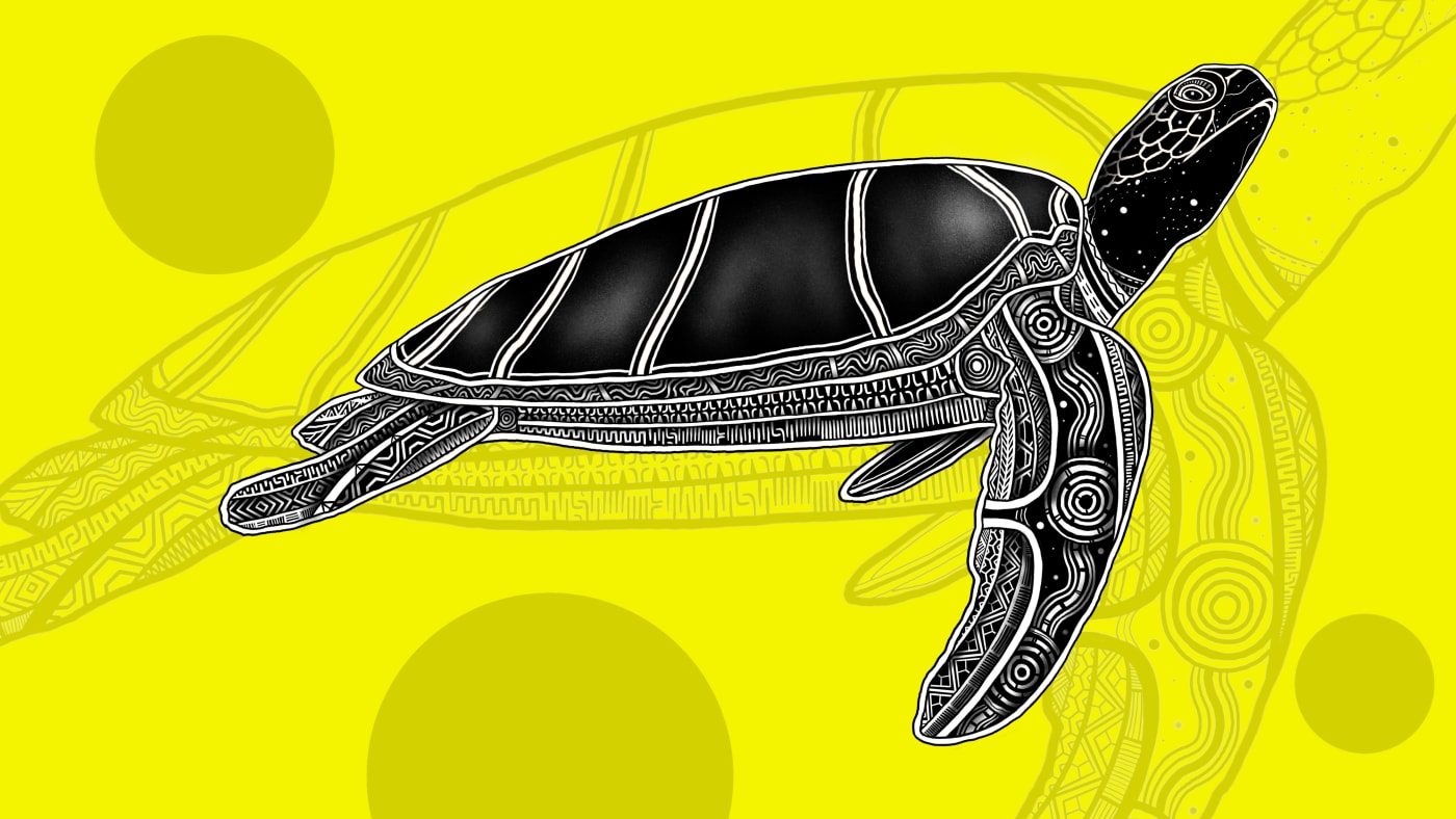 Turtle; Bajigal (Jirrbal); War for one turtle, Waru for two turtles (Zenadth Kes).
