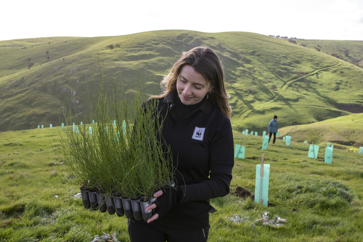 Sophie Hueppauff holding she-oak seedlings to plant for glossy black cockatoos in Carrickalinga, South Australia