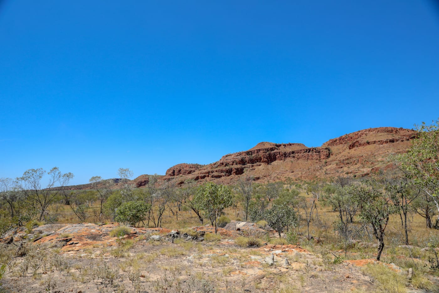 Erskine Range Landscape - Nyikina Mangala Rangers