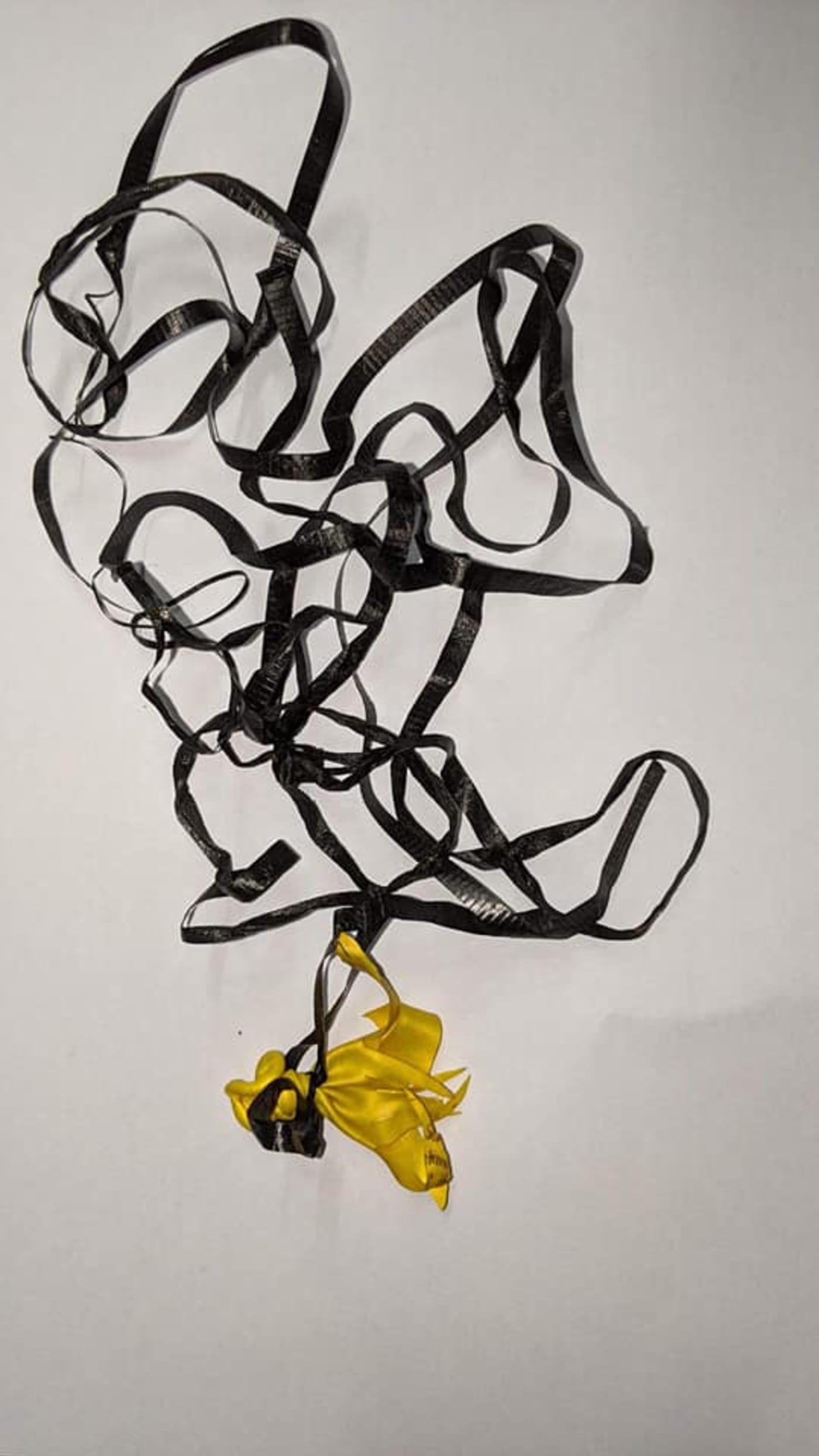 Yellow balloon and 252cm string found in sea turtle