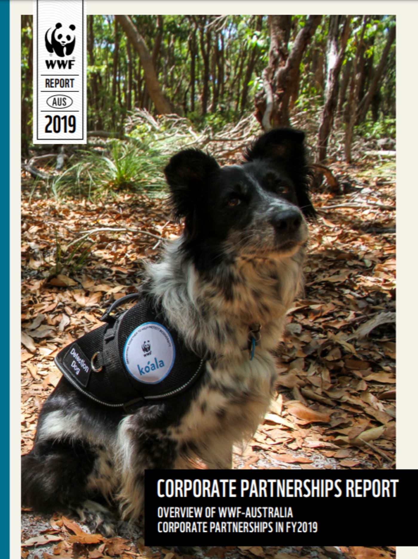 Corporate Partnerships Report 2021 cover