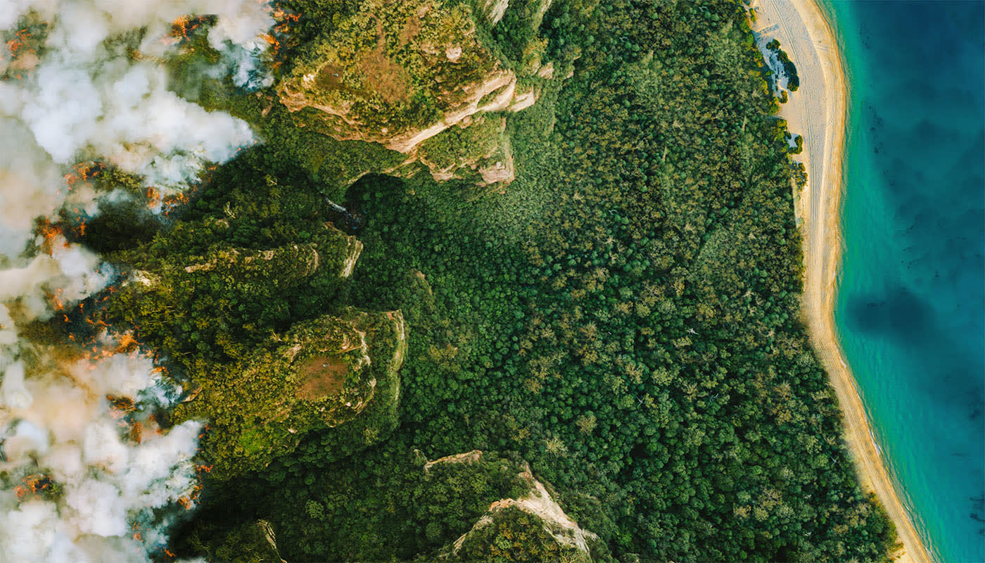 Aerial view of a fire in the forest and the beach and ocean