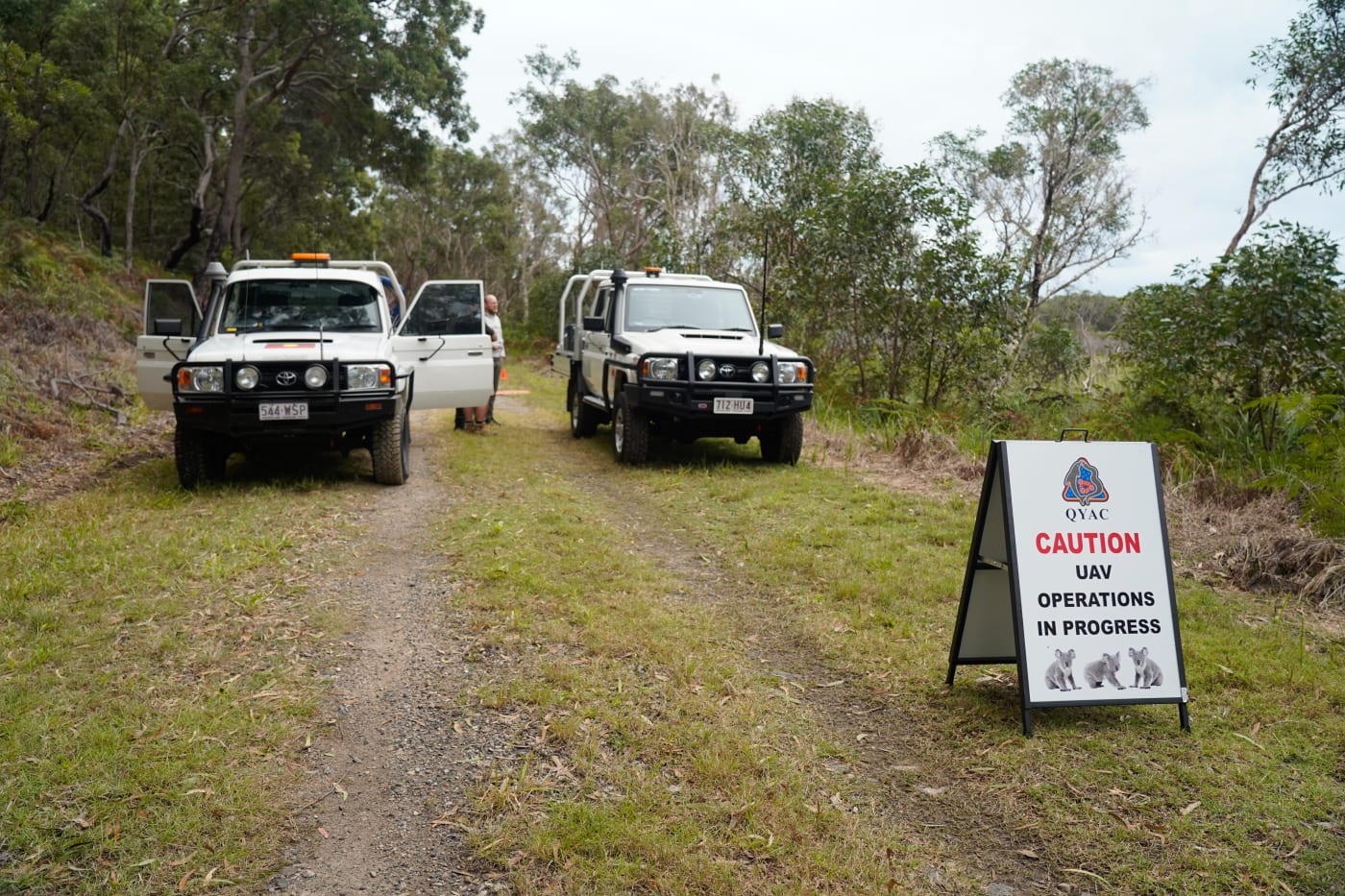 WWF-Australia, QYAC and Robotto conducting koala surveys with a thermal imaging drone on Minjerribah (North Stradbroke Island)