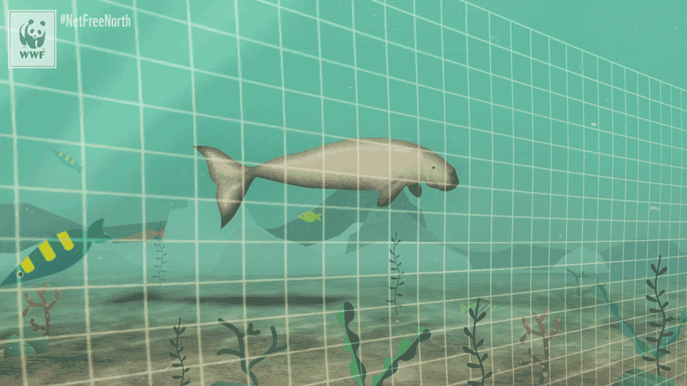 Gill net animation