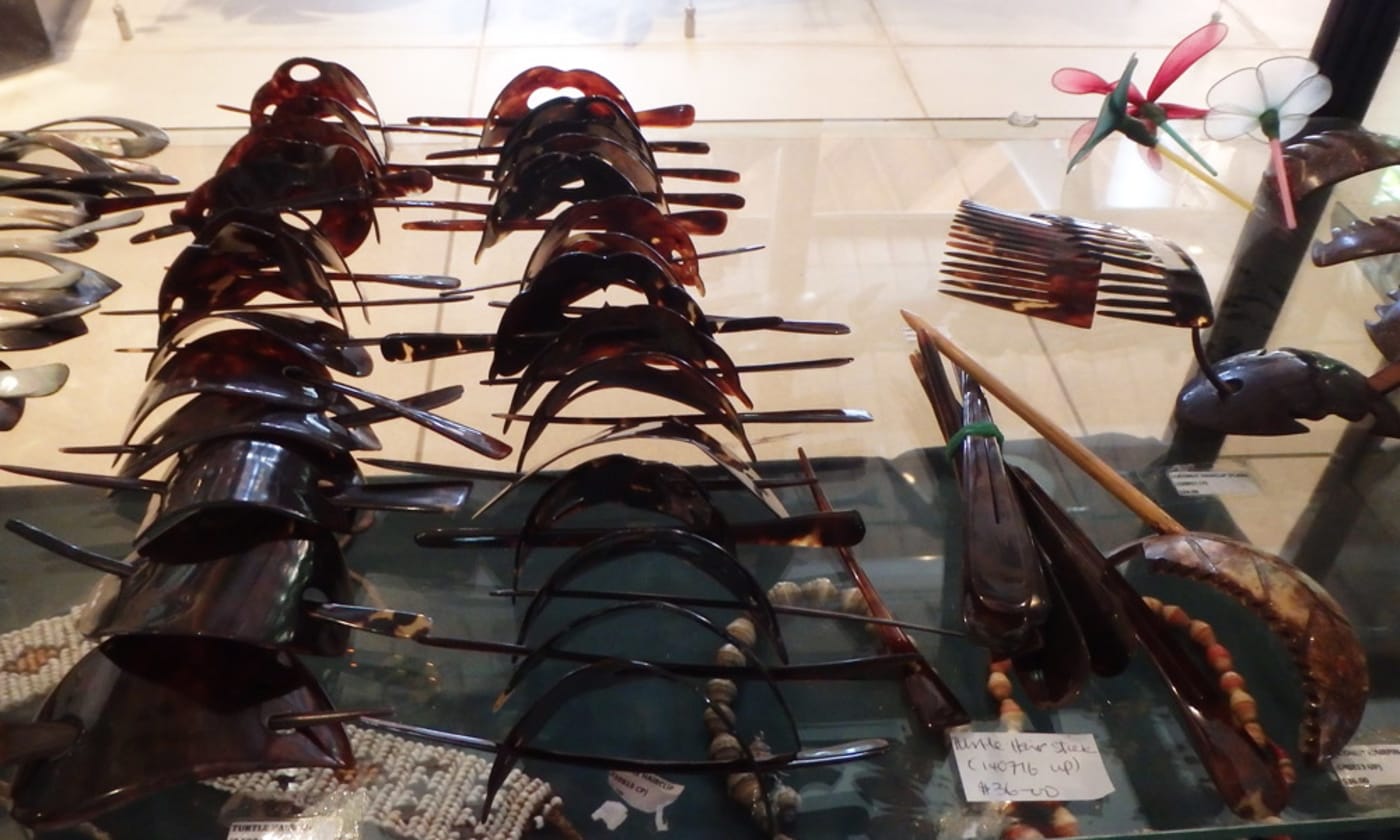 Hawksbill tortoiseshell jewellery for sale at one of the major hotels in Honiara, March 2017