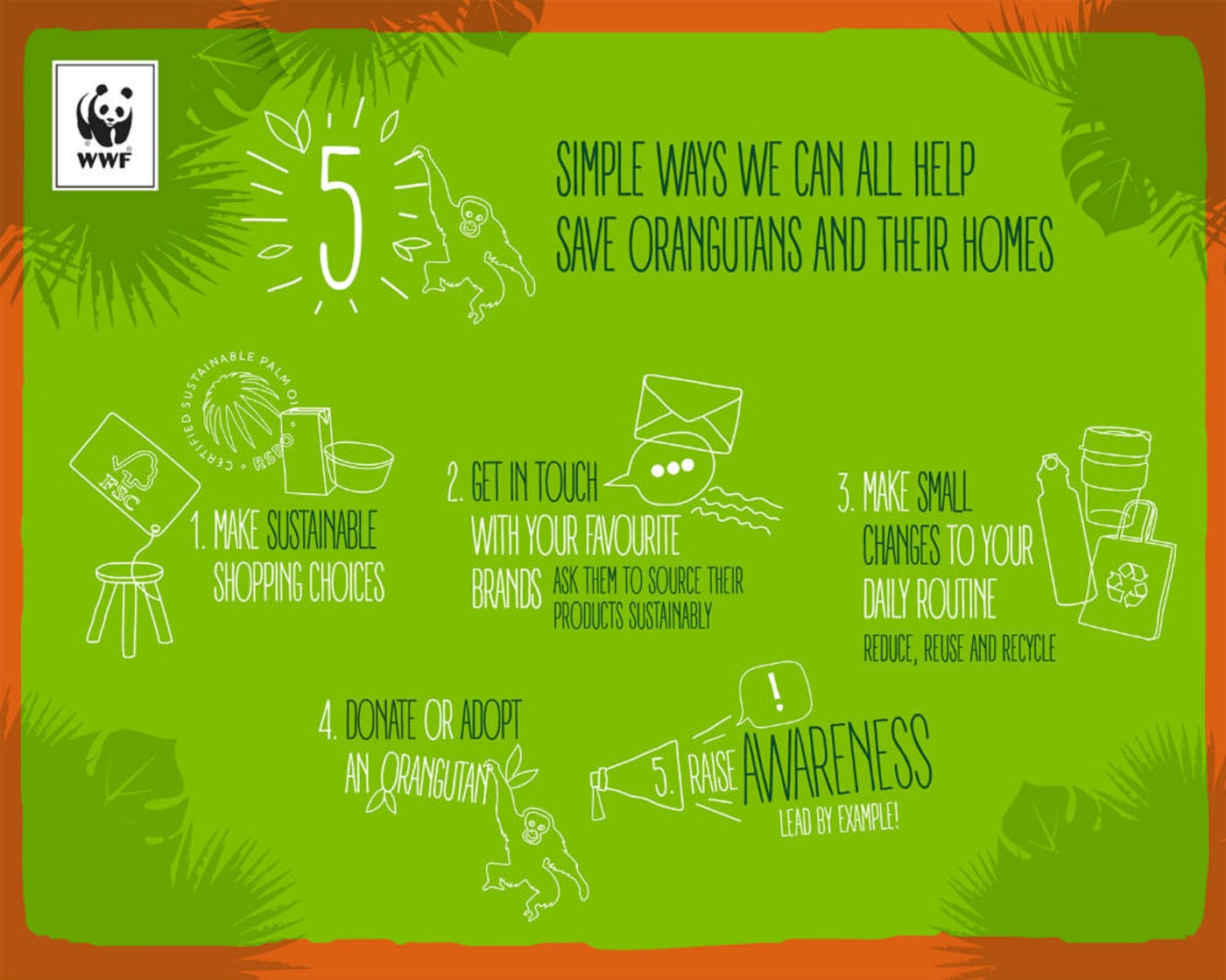 5 Simple ways we can help orangutans and their homes