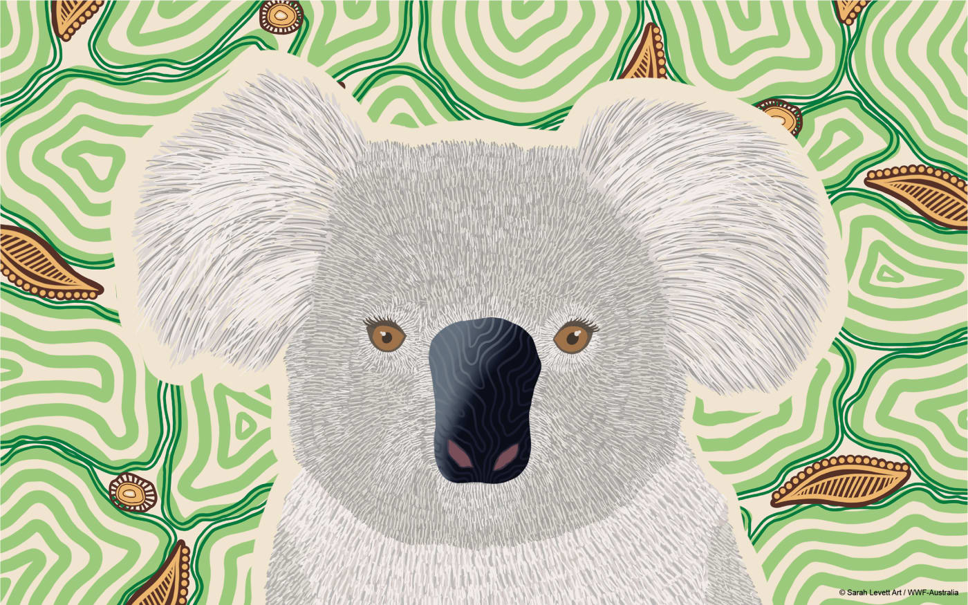 Indigenous koala art from Wiradjuri and Gundungurra artist Sarah Levett - desktop wallpaper.