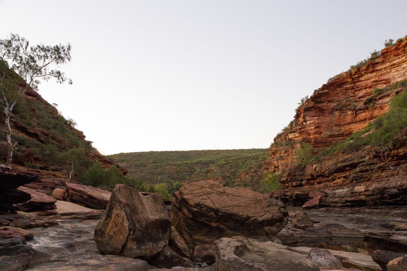 Black-flanked rock-wallaby territory, Murchison Gorge in Kalbarri National Park, Western Australia.
Department of Biodiversity, Conservation and Attractions (DBCA), with the financial and field assistance of WWF-Australia organised the translocation of black-flanked rock-wallabies (Petrogale lateralis) from Mt Caroline and Nangeen Hill to Kalbarri National Park.
The wallabies were processed and monitored overnight at a farmhouse in Mt Caroline and spent the night securely in black soft pouches. The wallabies were transported by car to Kellerberrin, then flown to Kalbarri National Park. 9th / 10th of May 2016.
