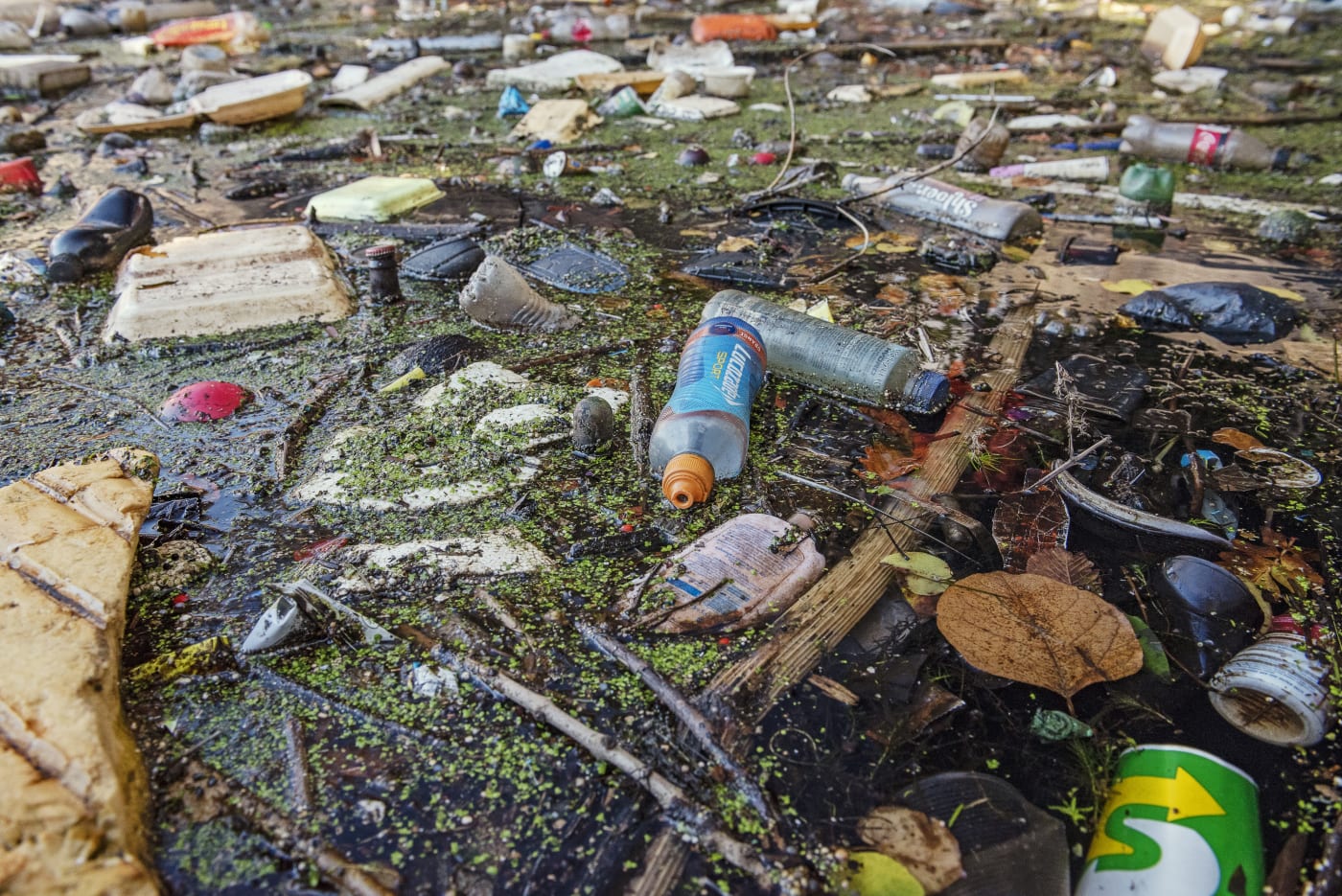 A river polluted by plastics