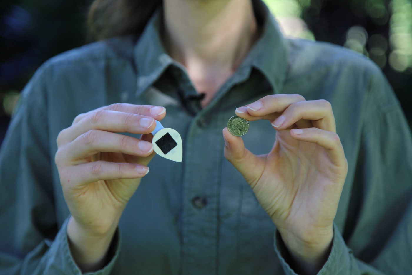 VHF solar ear tag