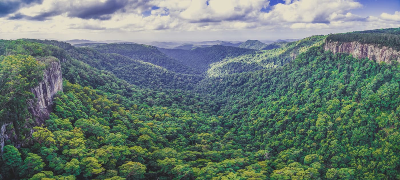 Aerial panorama of rainforest and rugged cliffs. Springbrook National Park, Queensland, Australia