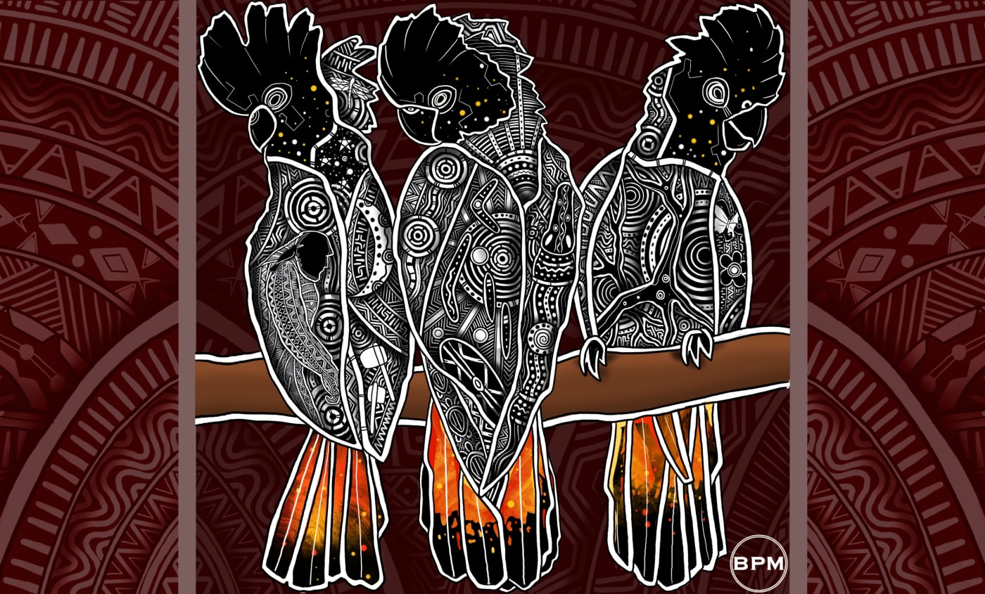 Indigenous glossy black cockatoo Art Wallpaper from Beau Pennefather-Motlop