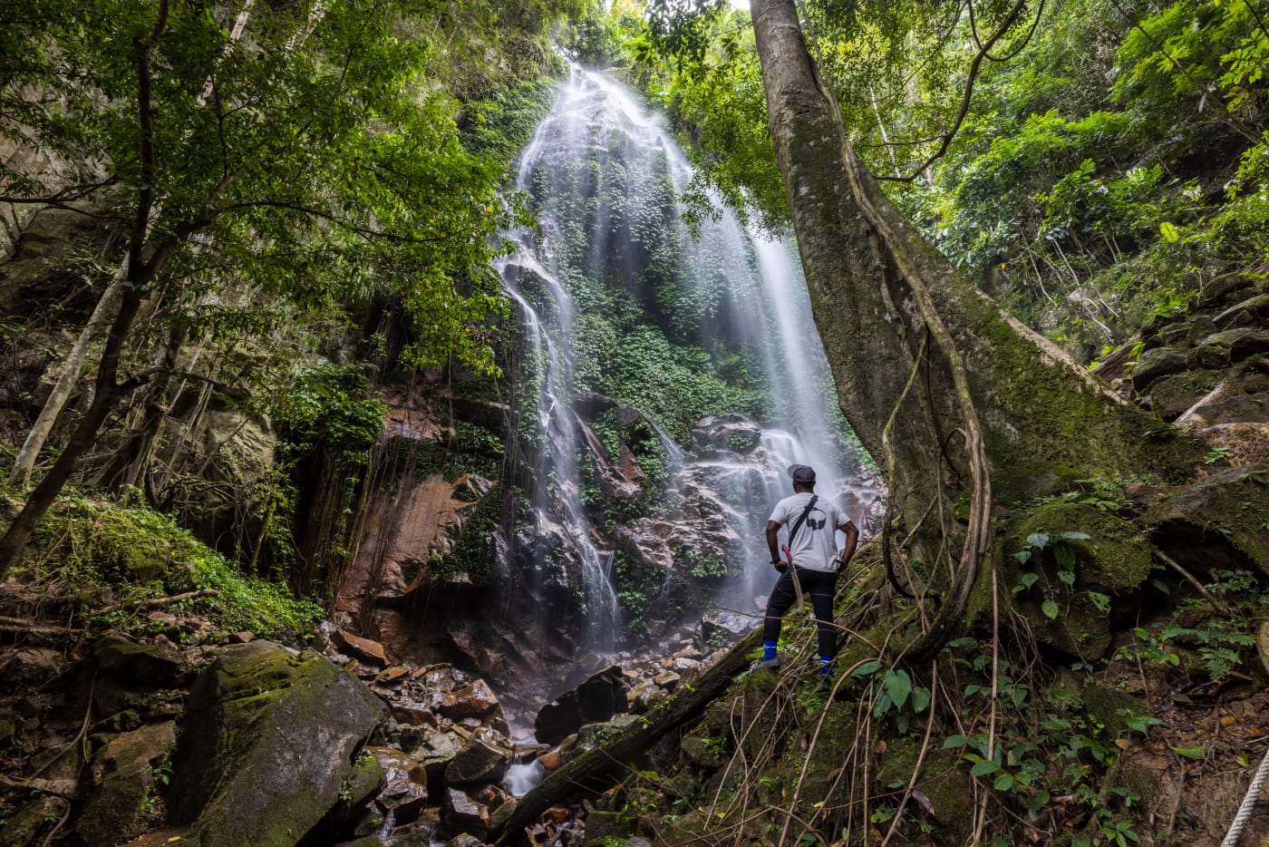 Merapi Mat Razi, Senior anti-poaching patrol member at WWF–Malaysia, stands in front of the Kooi Waterfall in Royal Belum State Park, an important site for WWF-Malaysia’s tiger conservation work.