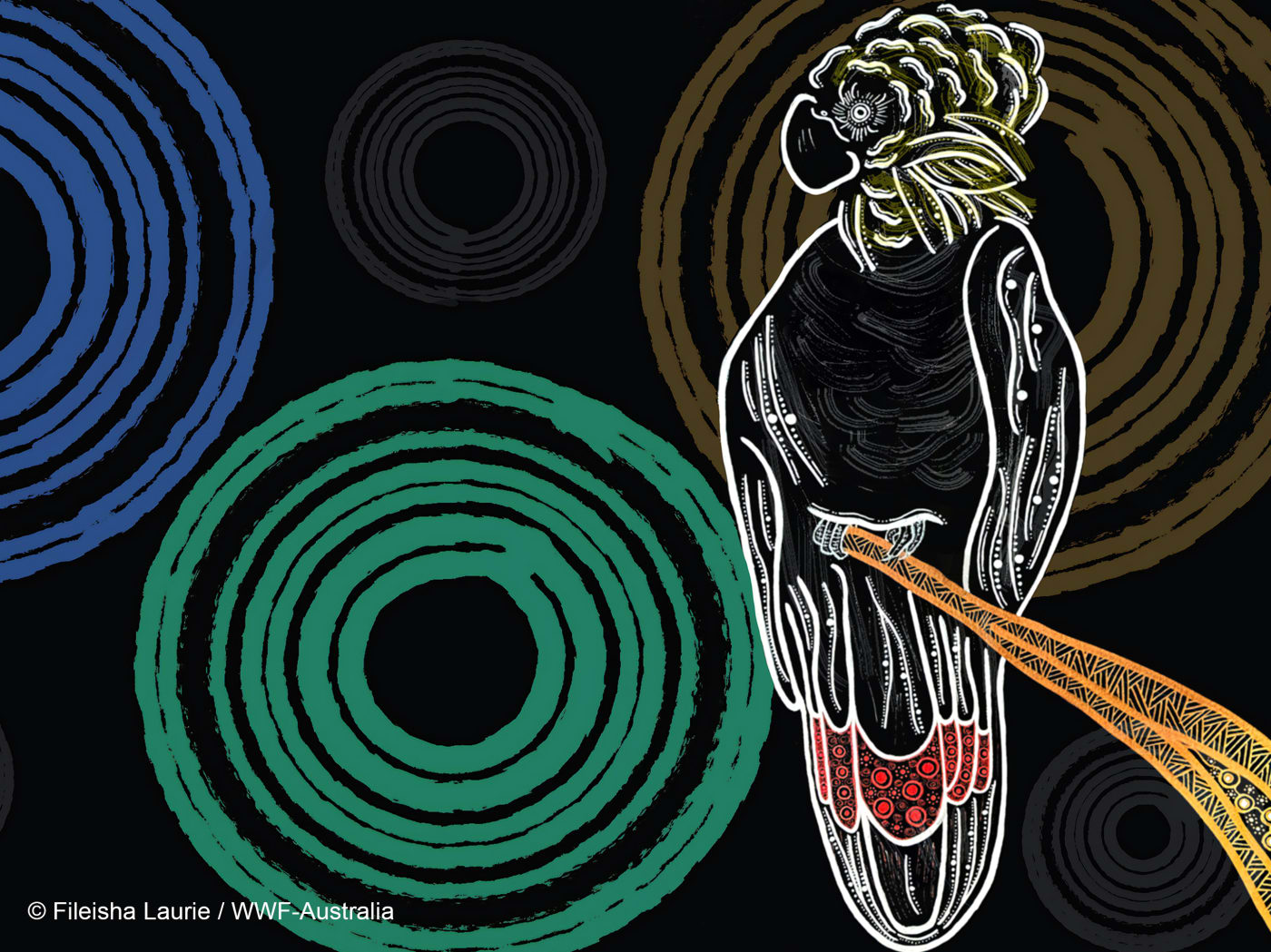 Indigenous art depicting the glossy black cockatoo by Gumbaynggirr, Bundjalung and Kalkadoon artist Fileisha Laurie