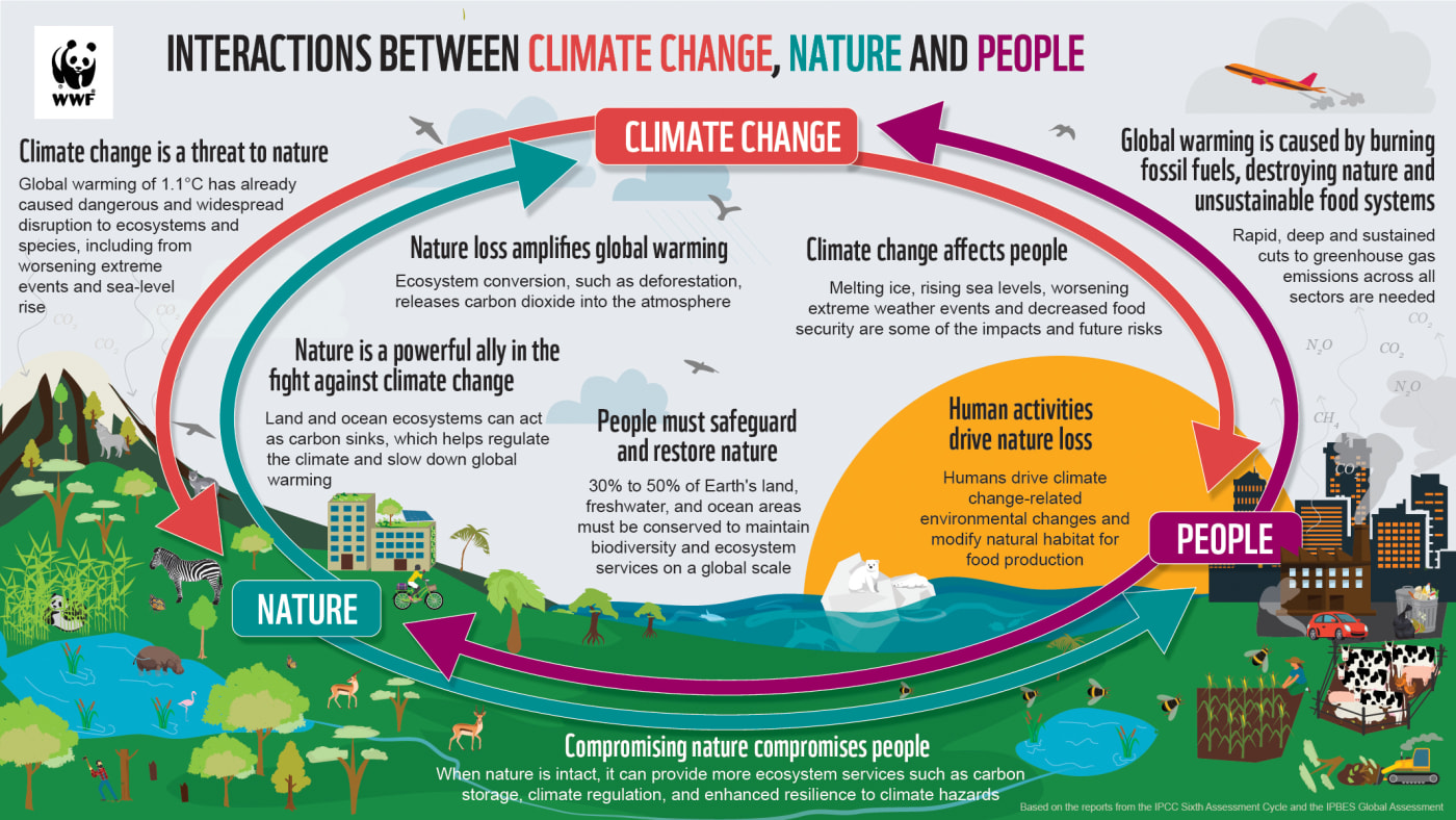 Infographic showing the interactions between climate change, nature and people