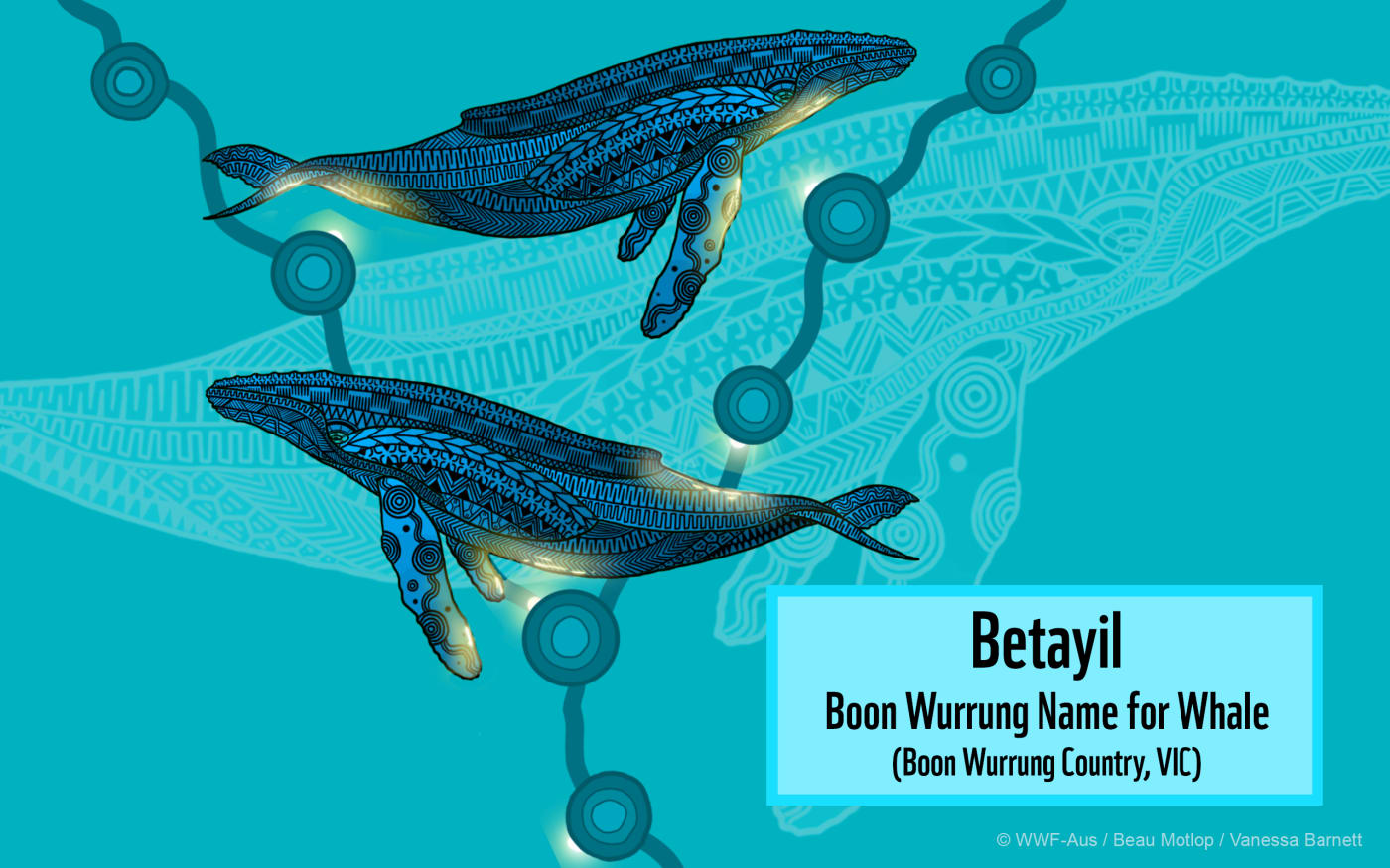 Indigenous Whale or Betayil  Art Desktop featuring Boon Wurrung Name for Whale (2560x1600)