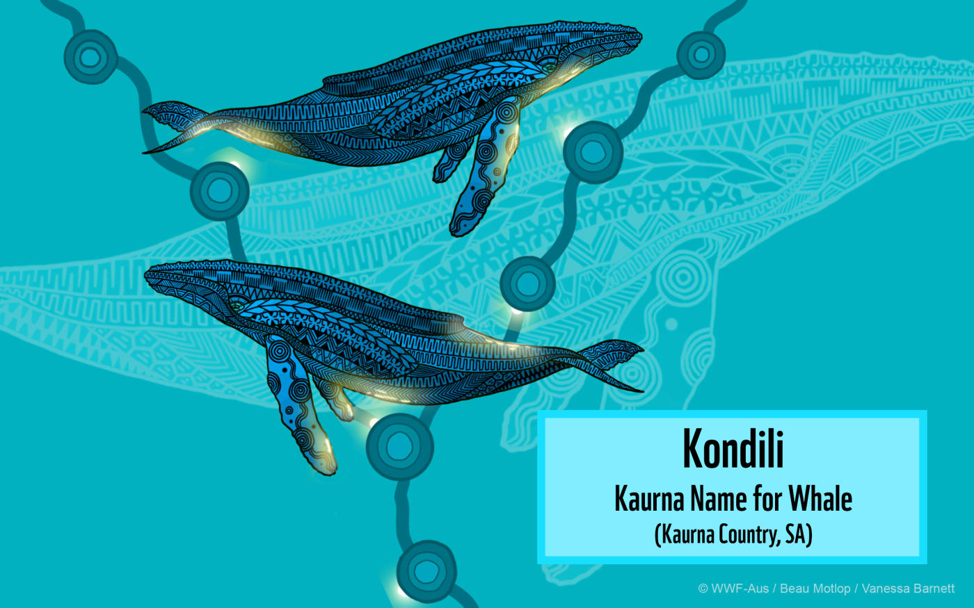 Indigenous Whale or Kondili Art Desktop featuring Kaurna Name for Whale (2560x1600)