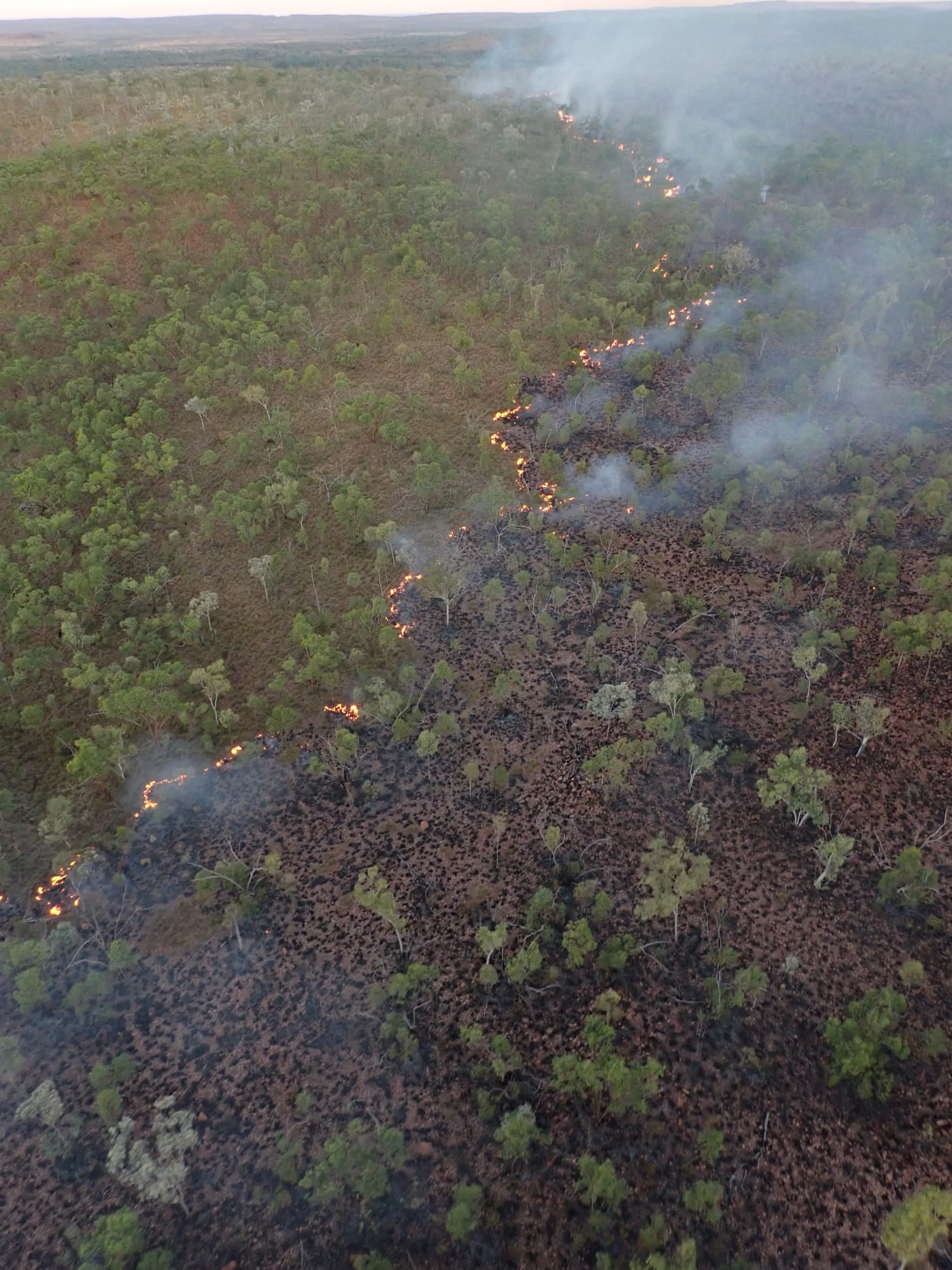 Early dry season burn on Wilinggin Country