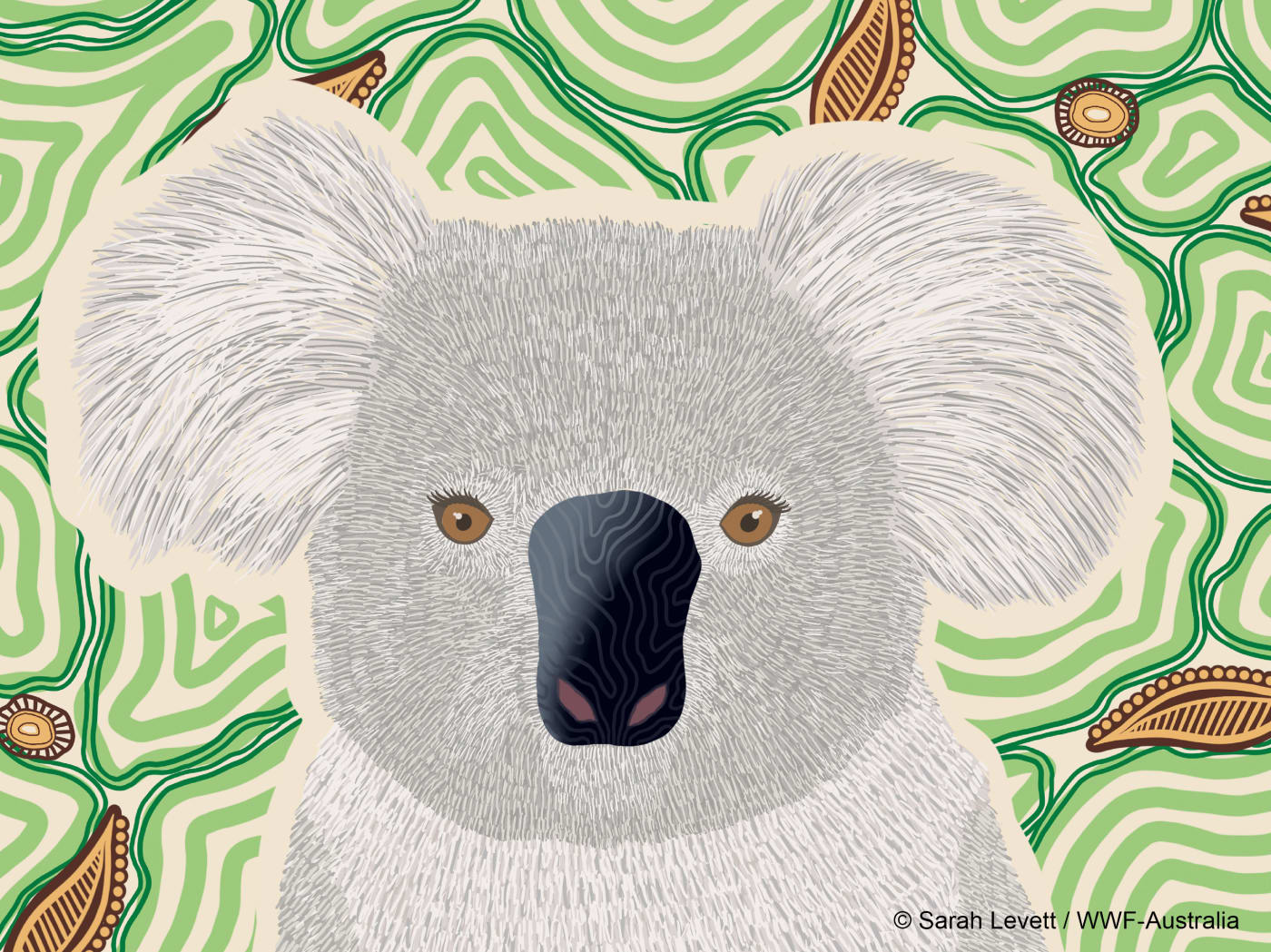 Indigenous koala art from Wiradjuri and Gundungurra artist Sarah Levett.