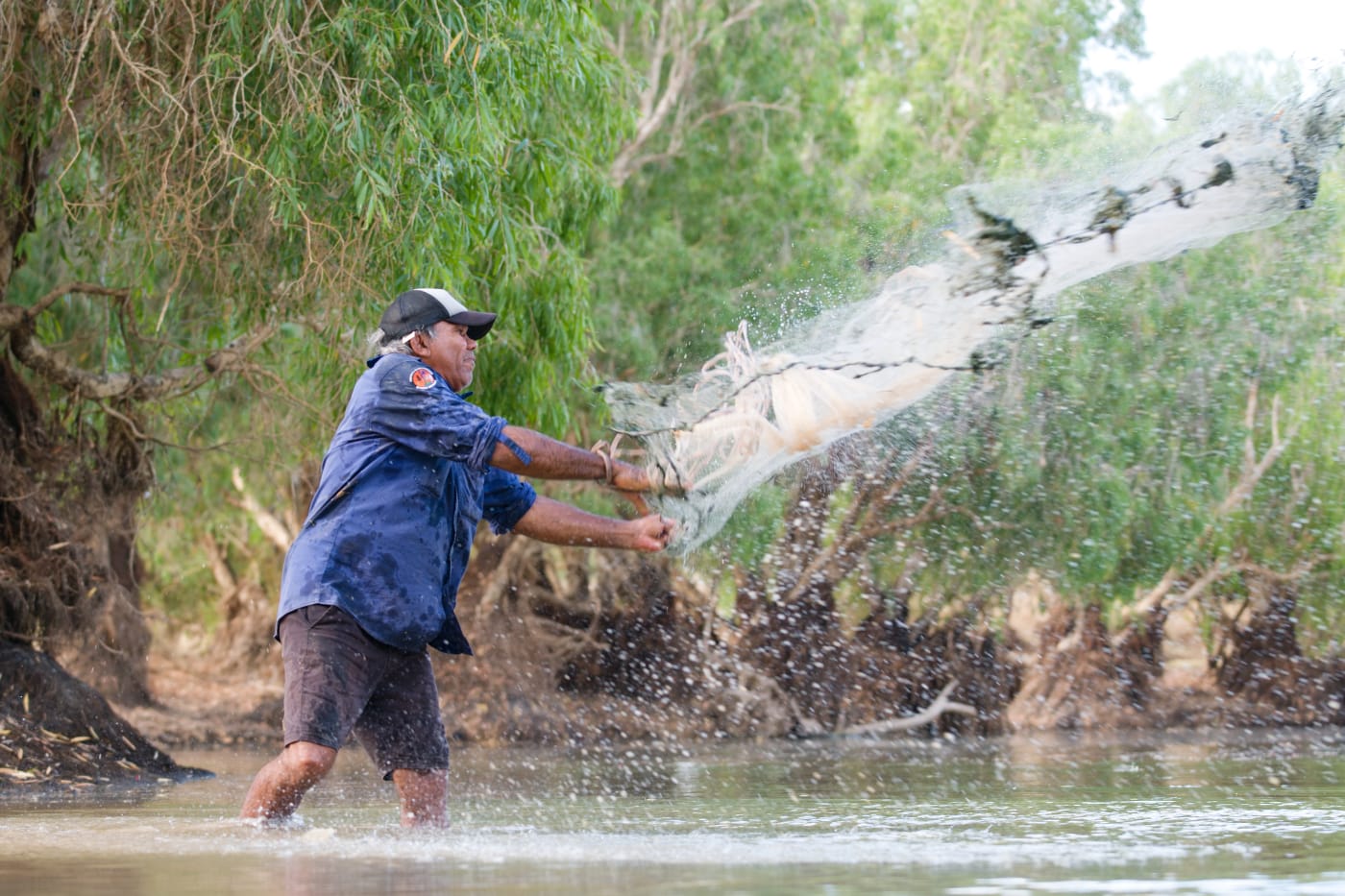 Nyikina Mangala Ranger Raymond Charles casting net into the Martuwarra (Fitzroy River), Camballin, West Kimberley region, WA.