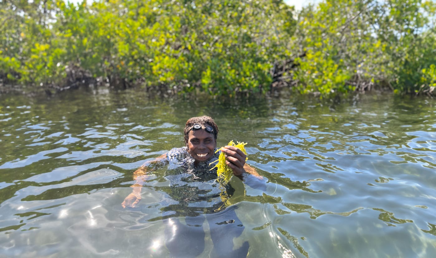 Nerolyn, a community facilitator dives for sea grapes in Solomon Islands