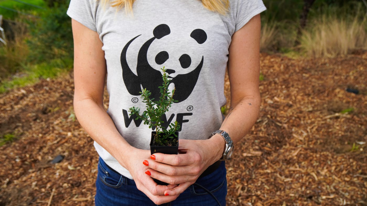 WWF-Australia joins a community tree planting event at Cook Reserve Ruse, Campelltown, May 2019