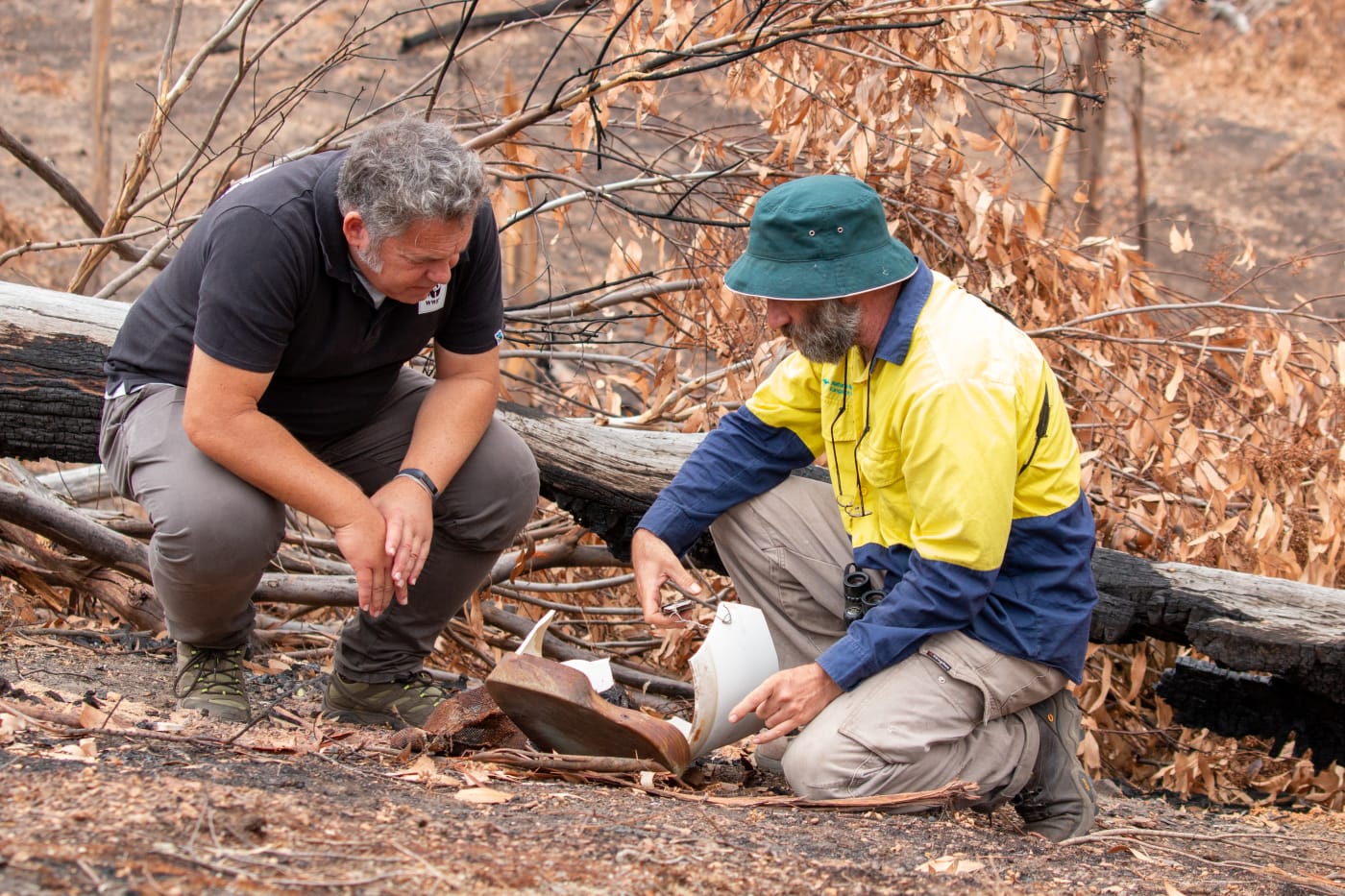 Darren Grover from WWF-Australia and Mike Barth from Natural Resources Kangaroo Island inspect a nest box destroyed by fires in Lathami Conservation Park on Kangaroo Island