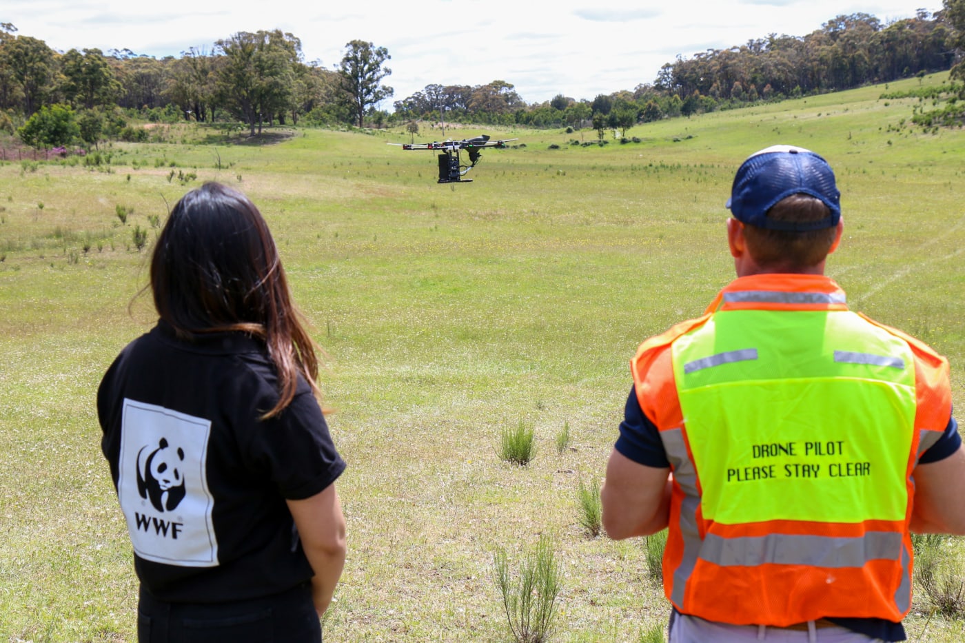WWF-Australia and AirSeed Technologies trialling drone seeding
