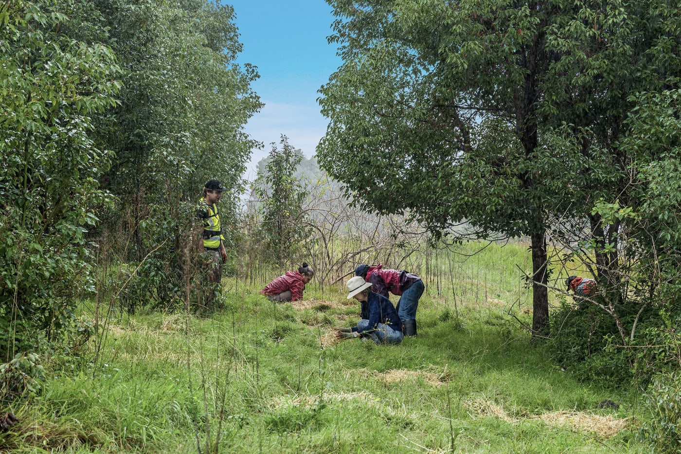 WWF reps Tanya Pritchard, Bre Doyle and Free Vreman attended a community tree planting event in the Northern Rivers with Bangalow Koalas to help restore habitat lost in the March 2022 floods.