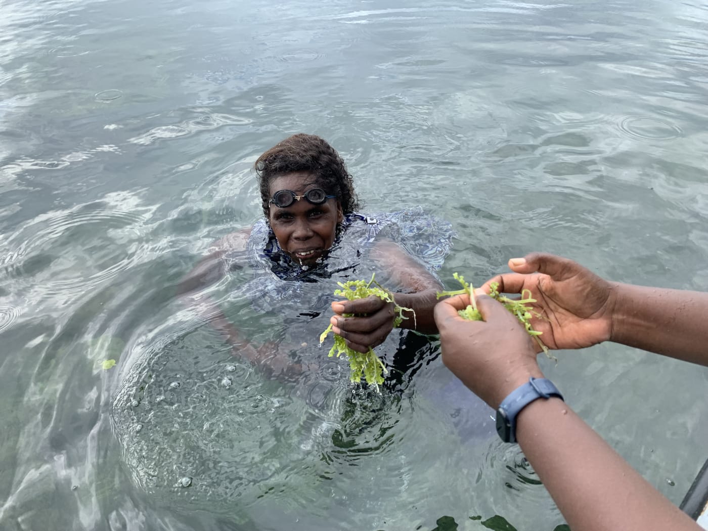 Nerolyn, a community facilitator diving for sea grapes in Solomon Islands