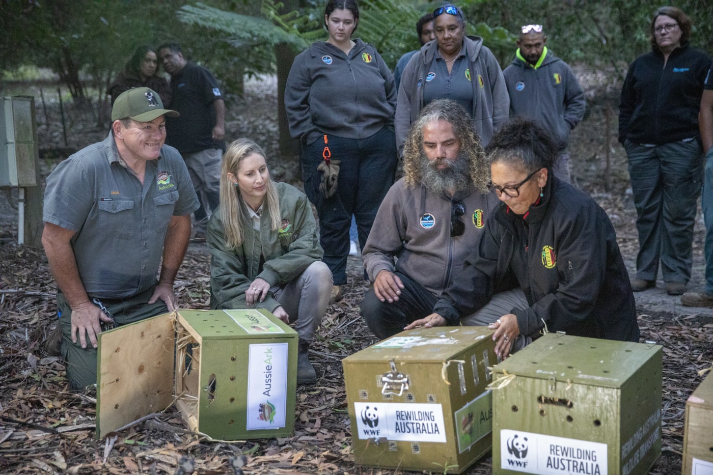 Project partners, Aussie Ark and Wreck Bay Aboriginal Community Council, opening den boxes to release eastern quolls into Booderee Botanic Gardens, Jervis Bay.